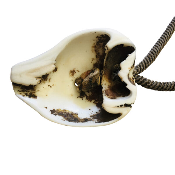 TibetanShellToggle1_Aug2020