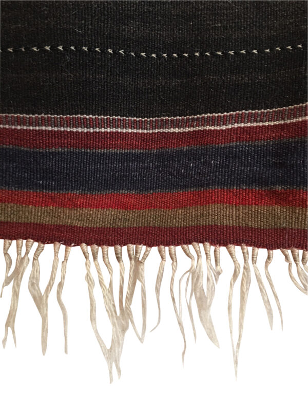 HandiraBlkBrnGround3