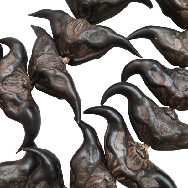 ChineseSeedPodBeads2