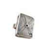 PoisonBoxRing1