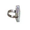 PoisonBoxRing2