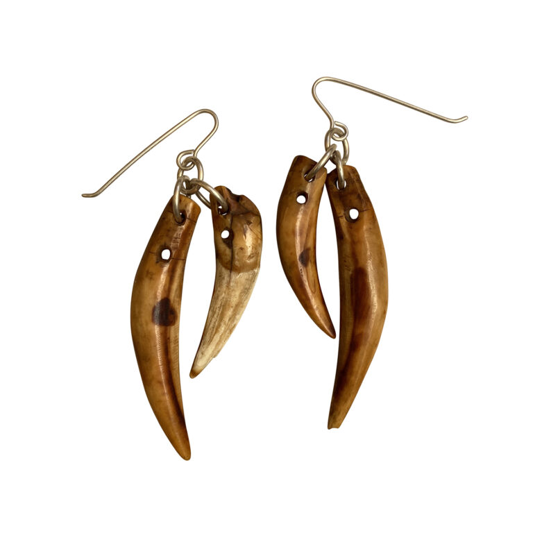 Cambodian Wild Boar Teeth Amulets Jewels