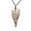 PC_Shell_Chain1