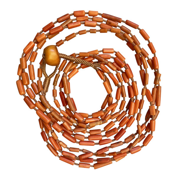 Long_Mult_Strand_Coral1