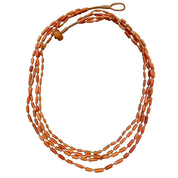 Long_Mult_Strand_Coral2