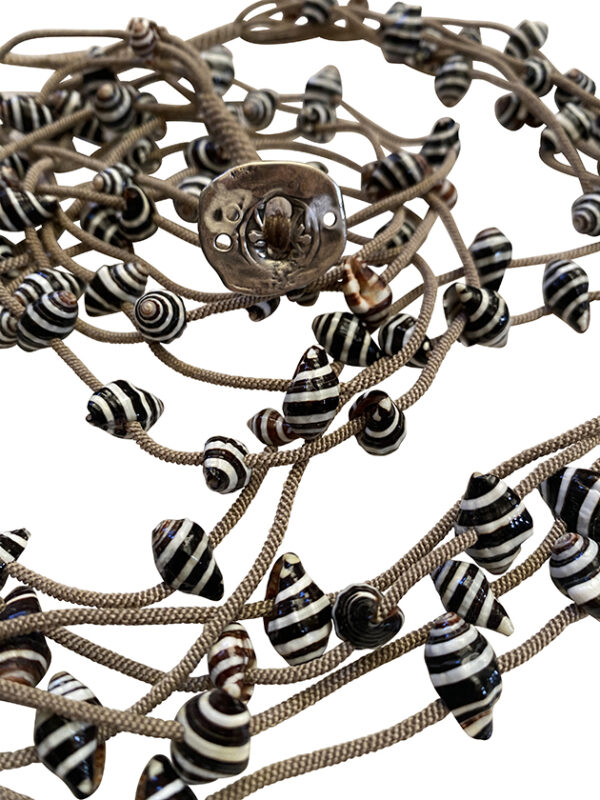 Magic_Snail_Shells2