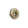 Ring_Shell_Ring2