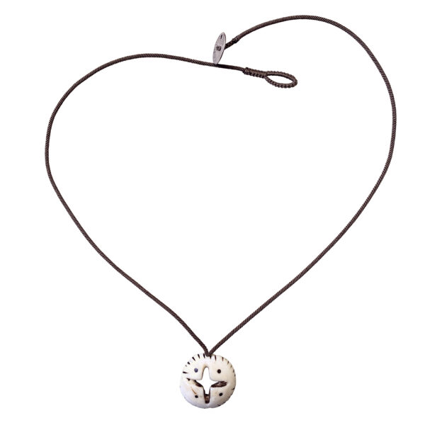 Mauritanian_Shell_cord_petit_Aug_2025