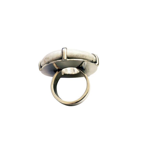 Ring_Shell_ring3_(2)