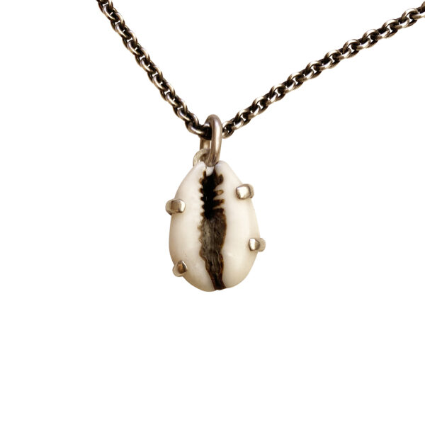 Cowrie_chain1